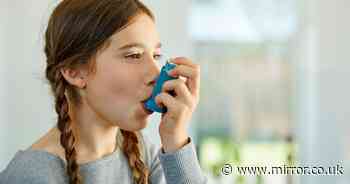 Asthma: Six common triggers you may not be aware of - from dust mites to pet hair