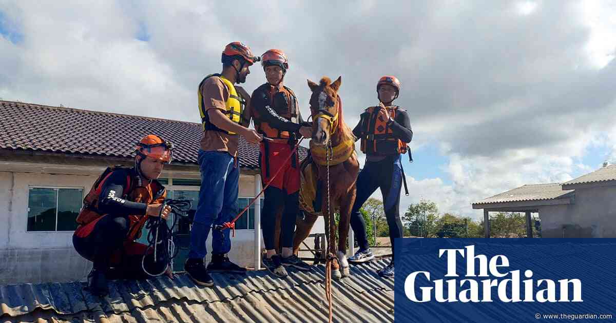 Horse stranded on roof by Brazil floods is rescued by emergency workers
