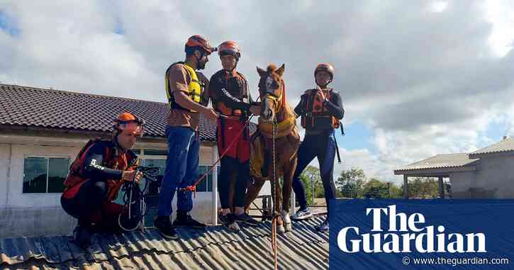 Horse stranded on roof by Brazil floods is rescued by emergency workers