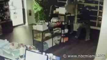 Video shows thieves busting into Hollywood shop, stealing $15K in perfume