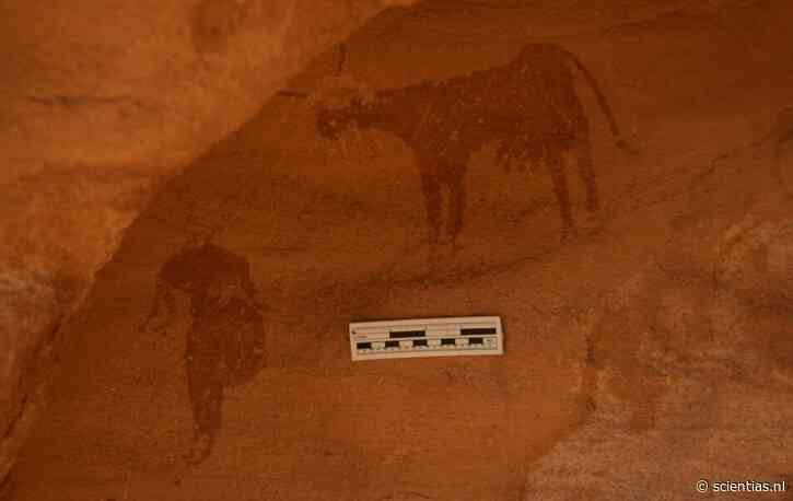 4000 jaar oude rotstekeningen ontdekt in Soedan bevestigen dat de Sahara er niet zo heel lang geleden heel anders uitzag