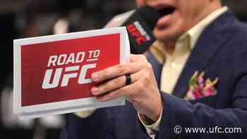 Road To UFC Season 3 Matchups