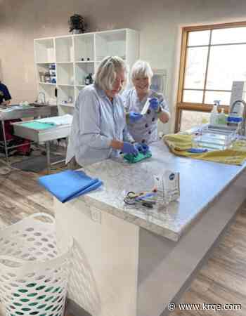 Clinic focused on spay and neutering opens in Taos County