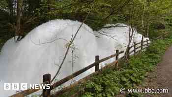 Foam 'clumps' found in woodland stream