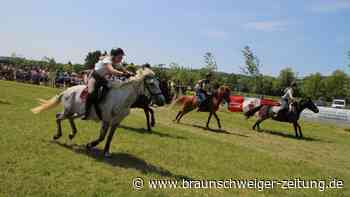 Besonderes Event für Pferde-Fans im Harz: Das Kranzreiten in Förste