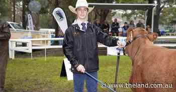 Angus Pursehouse wins champion parader at South Coast Steer Spectacular