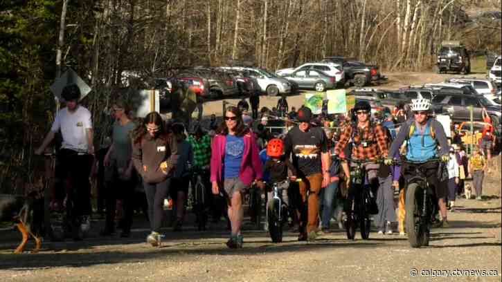 Hundreds journey up Moose Mountain to protest Kananaskis logging plan