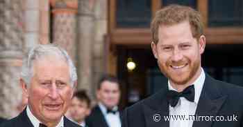 Prince Harry's surprising 'nemesis' and brutal way Charles is 'setting him adrift - permanently'