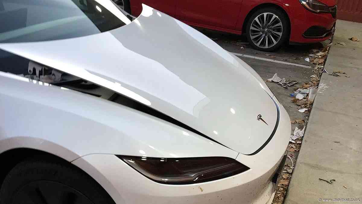 Tesla driver's warning after run-in with a kangaroo activated a safety feature and left him with a huge expense - and he's not the only one