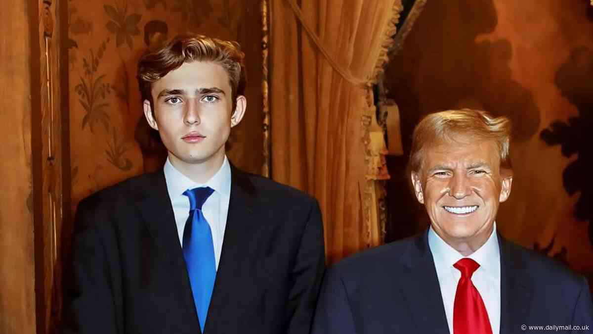 Fears for Barron Trump as critics warn Donald's youngest son is now 'fair game' and express shock at Melania for allowing him to enter politics