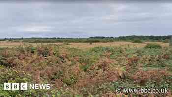 Plans for quarry on ex-airfield set for rejection