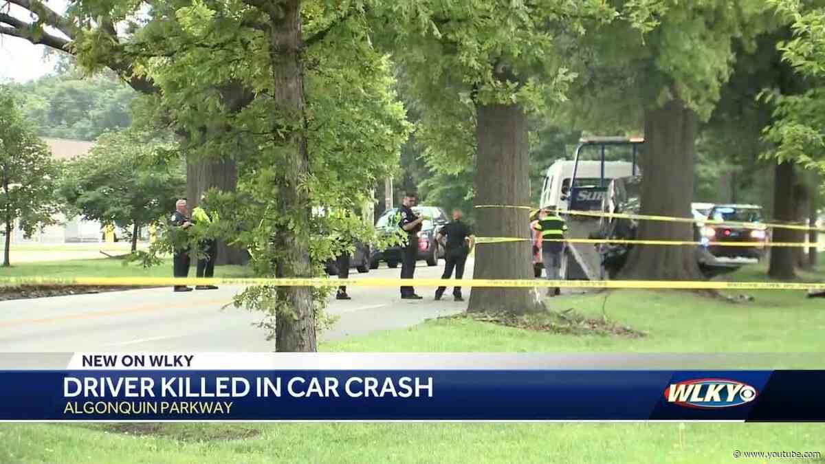 Woman dies after crashing into tree off Algonquin Parkway