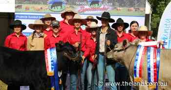 First-time entrants claim top honours at South Coast Steer Spectacular