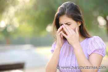 Hay Fever symptoms: Best way to stop symptoms revealed