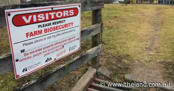 Senate inquiry recommends biosecurity protection levy should be passed