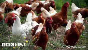 Chicken farm plans set to be approved