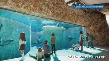 Florida Aquarium approved for $15M in CRA funding for redevelopment project