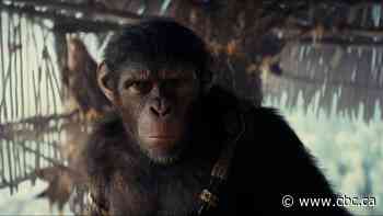 Kingdom of the Planet of the Apes: this franchise hates humans