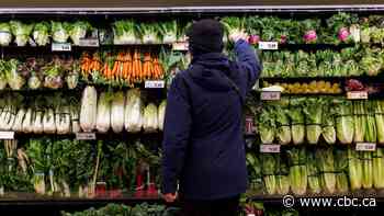 Who's to blame for rising grocery bills — and what are Quebecers doing about it?