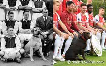 Arsenal’s secret weapon is Win the dog – but Gunner was club’s original good boy