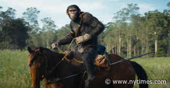What to Know Before Seeing ‘Kingdom of the Planet of the Apes’