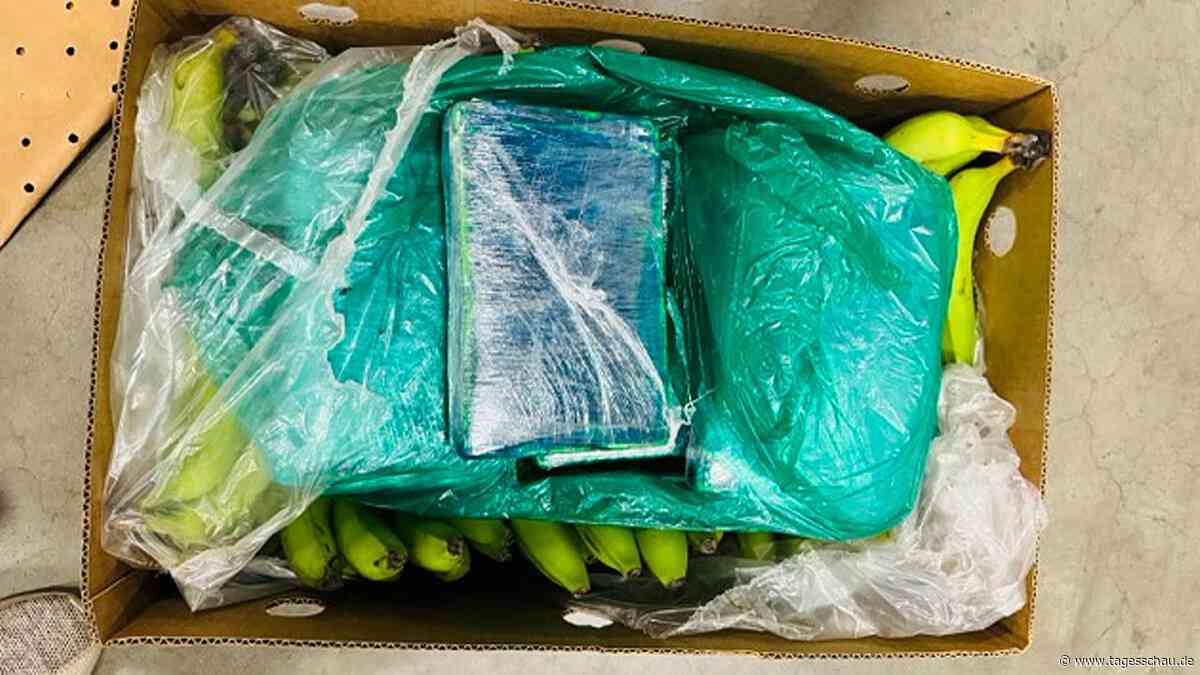 Drogen in Bananenkisten: Ermittler finden 190 Kilogramm Kokain