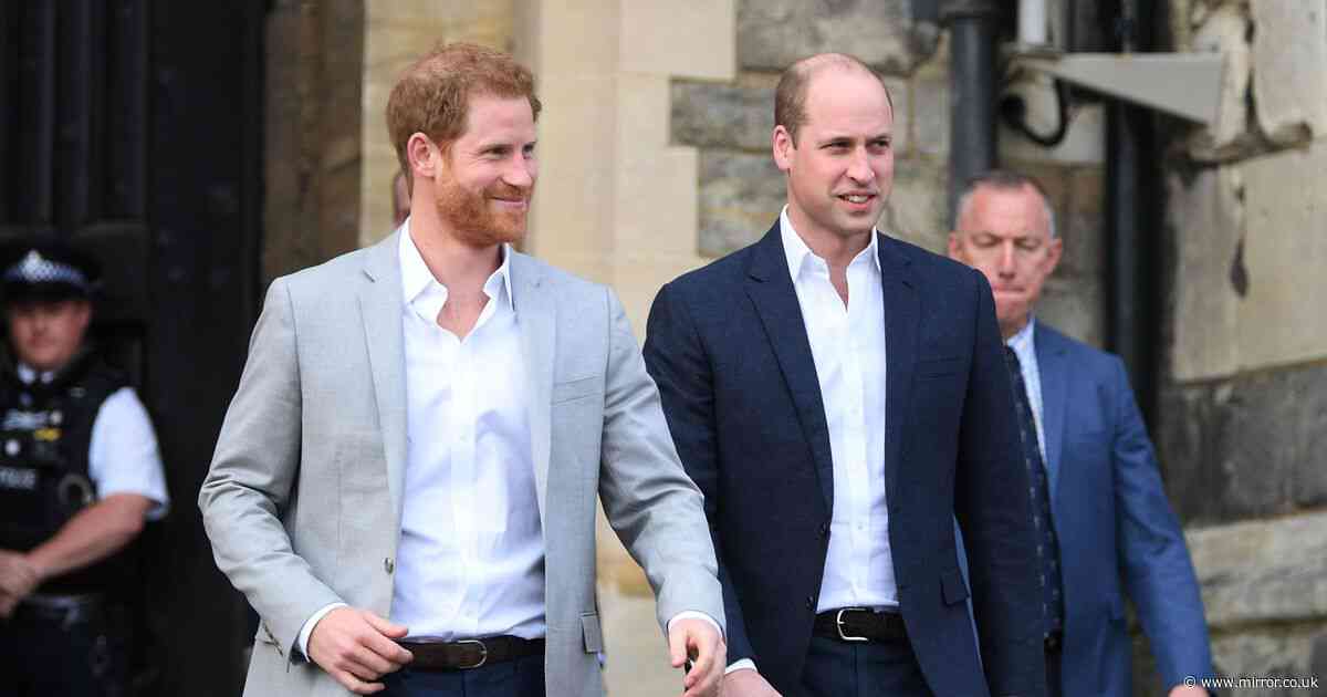 Prince Harry 'felt sick' after William turned down wedding plea with four-word excuse