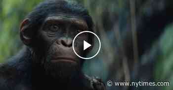 ‘Kingdom of the Planet of the Apes’ | Anatomy of a Scene