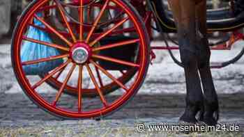 Folgenschwerer Unfall mit Zehnspänner: Kutsche kippt in München um – Mann und Pferd verletzt