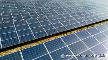 Was der aktuelle Preisverfall bei PV-Modulen für die Solarbranche bedeutet