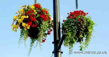 Outrage in pretty UK town after locals told to pay £165 to put up hanging baskets