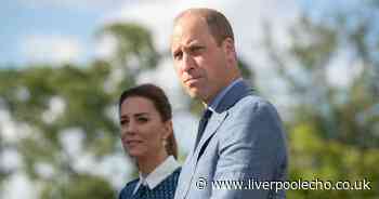 Prince William gives rare update on Kate's health after cancer diagnosis