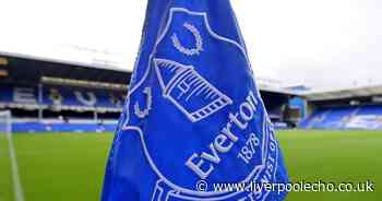Everton takeover Q&A: 777 Partners bid, Farhad Moshiri, MSP Sports Capital role, administration