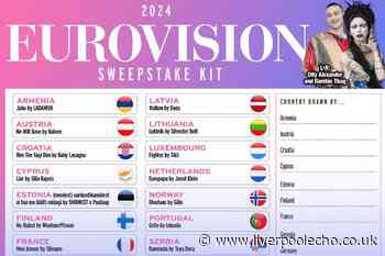 Eurovision 2024 score sheet, sweepstake kit and drinking game - download it here
