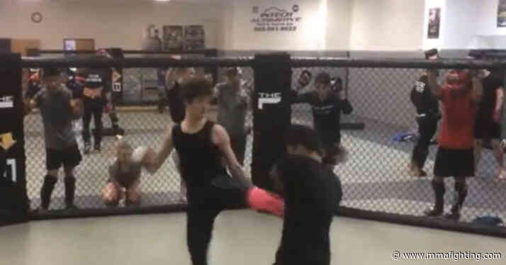 Watch Sean O’Malley land vicious body kick to fellow UFC champ Alexandre Pantoja in new sparring footage