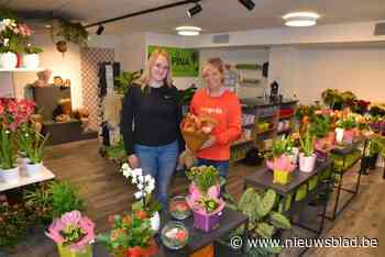 Nieuwe bloemenzaak Alpina opent net op tijd voor Moederdag: “we zitten al zes generaties lang in de bloemen”
