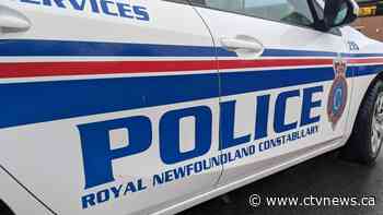 'Irate male' assaulted Newfoundland officers with block of cheese, police say