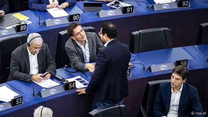 GroenLinks en PvdA voorlopig niet in één Europese fractie: 'Niet over gesproken'