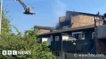 Man and dogs rescued from fire in flats