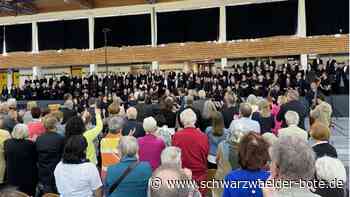 Beethovens Neunte in Bad Herrenalb: Auftritt sorgt für stehende Ovationen