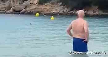 Brit family 'terrified' as they realise shark is circling them at Menorca beach