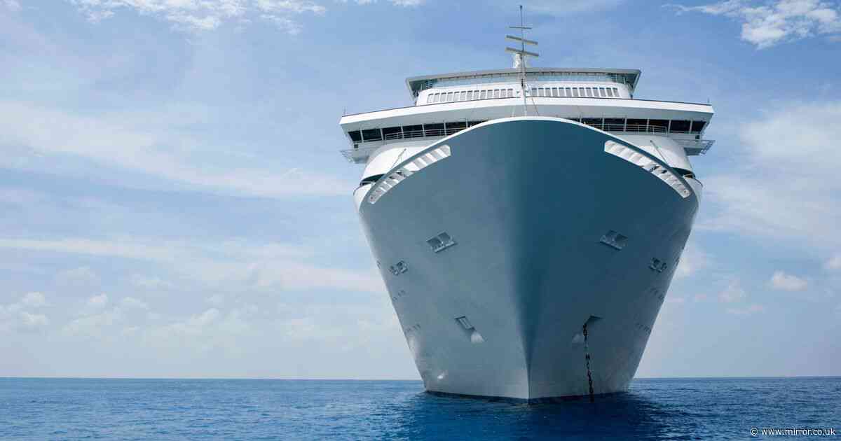 People are only just realising what risky 'secret' symbol on cruise ships signifies
