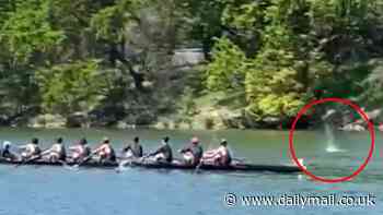 Horrifying moment shooter opens fire near teenage boys competing in rowing race in Sacramento