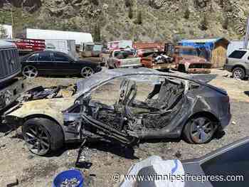 Tesla’s Autopilot caused a fiery crash into a tree, killing a Colorado man, lawsuit says