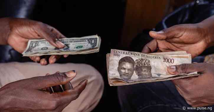 Naira loses momentum as dollar shortage looms nationwide - Reports