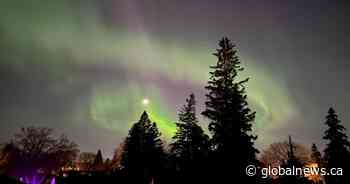 Southern B.C. could get rare chance to see the northern lights