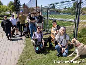 Group of Vancouver dog owners rally against school district's closure of field for public use