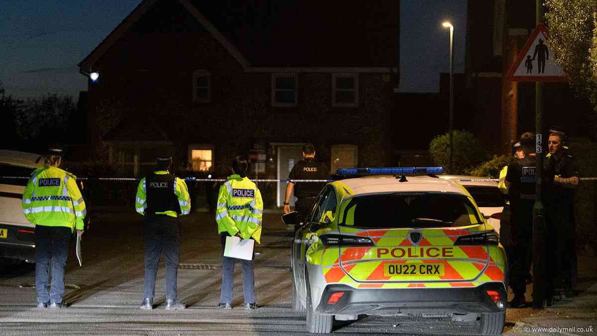 Armed police shoot crossbow attacker in High Wycombe after one officer is shot in the leg and a man in his sixties was stabbed in quiet neighbourhood