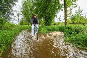 Aquafin en Wegen en Verkeer gaan wateroverlast Hasseltse tunnels en fietspaden aanpakken
