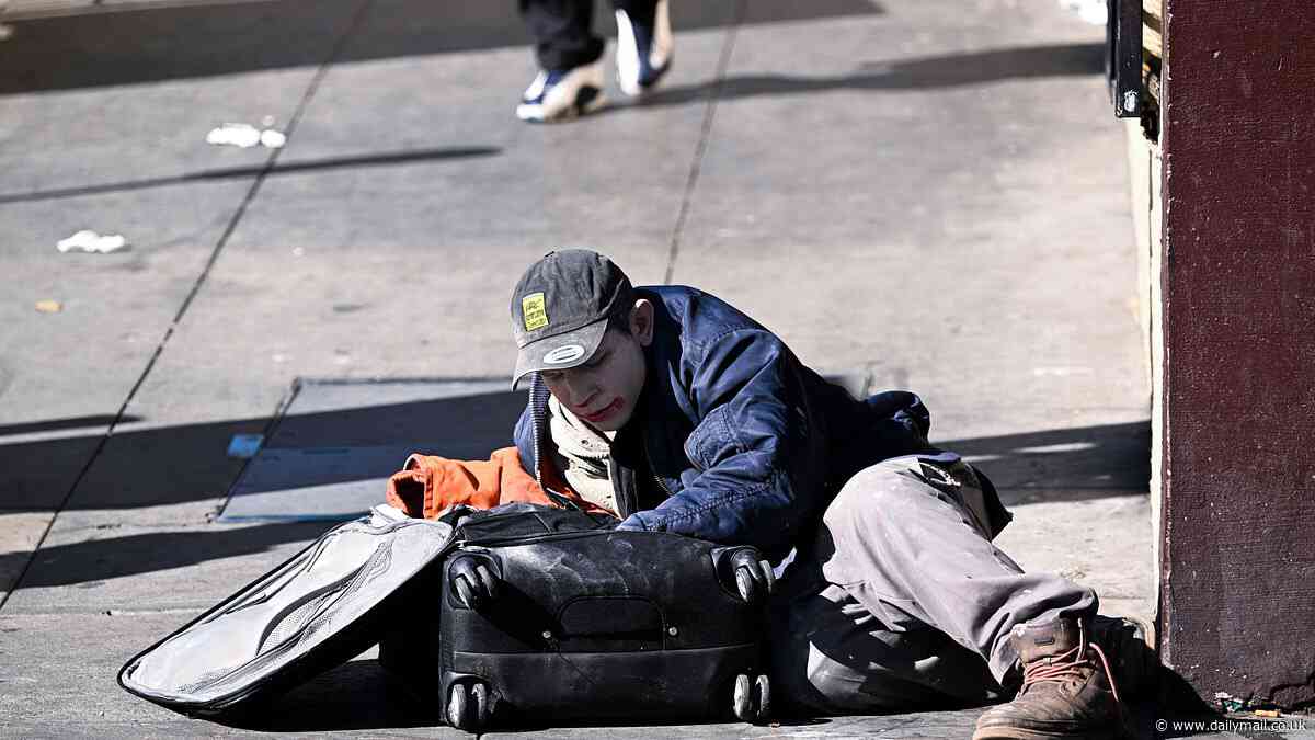 San Francisco is giving taxpayer-funded shots of vodka to homeless alcoholics in $5m program organizers claim 'improves participants health'